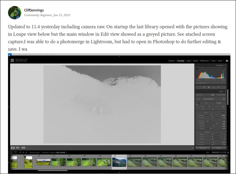 Adobe Lightroom Classic показывает файлы RAW как серое изображение