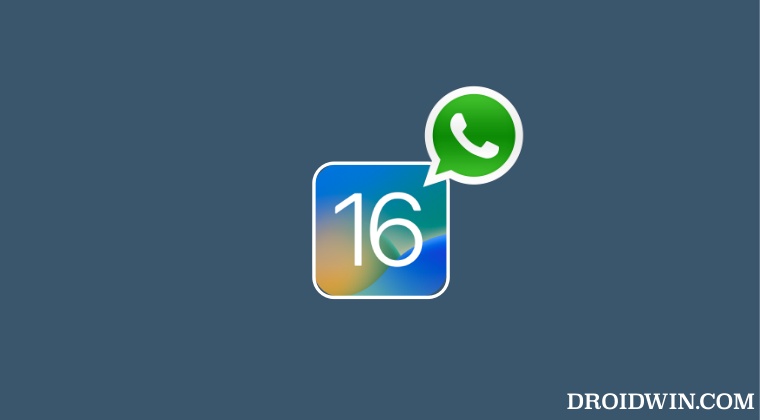 Сбой WhatsApp при отправке изображения в iOS 16